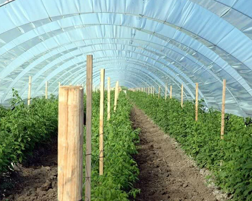 farming